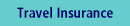 Travel Insurance